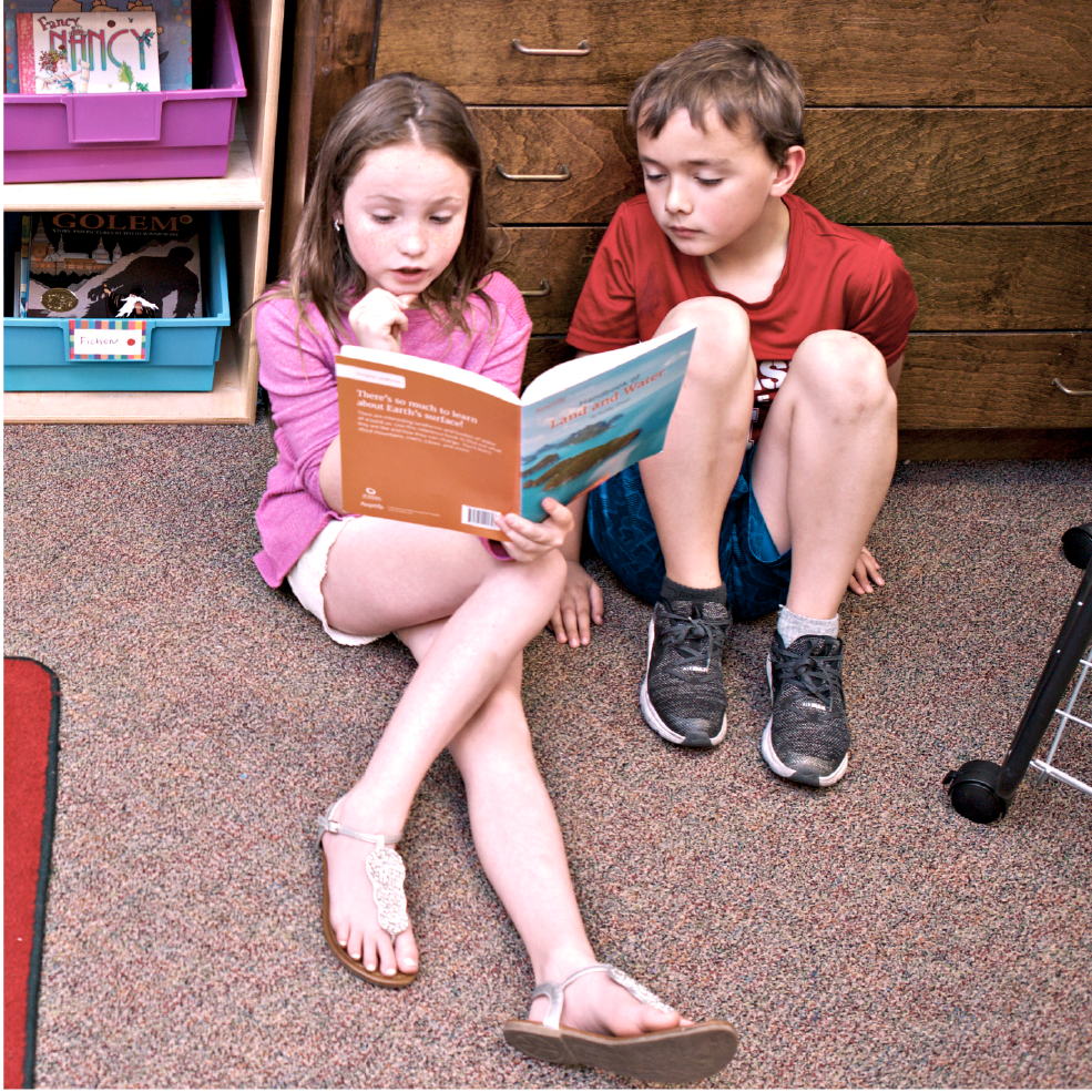 Amplify Insights inar Close reading Teaching students to read